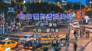 你无情伤透我的心-朱俊卫