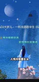 一杯浊酒敬半生-DJ大梦儿