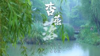 杏花落（抒情版）-胡启越