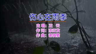 伤心在雨季-正云