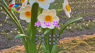水仙花-张海华